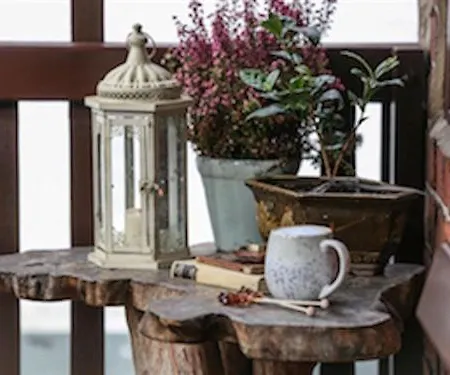 Pensionat The Shepherd's Purse Whitby