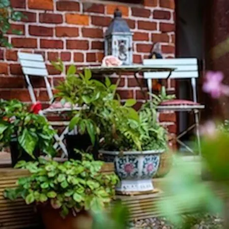 The Shepherd's Purse בית הארחה 3*