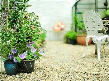 招待所 The Shepherd's Purse 3*