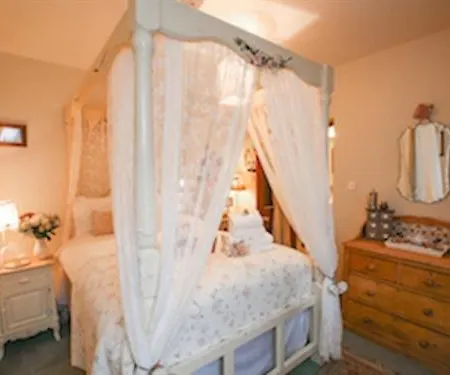 The Shepherd's Purse 3*