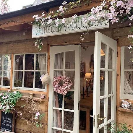 The Shepherd's Purse Whitby