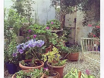 The Shepherd's Purse Whitby