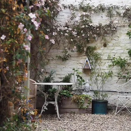 The Shepherd's Purse 3*