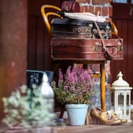 Penzion The Shepherd's Purse 3*