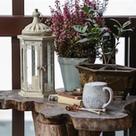 The Shepherd's Purse 3* Whitby